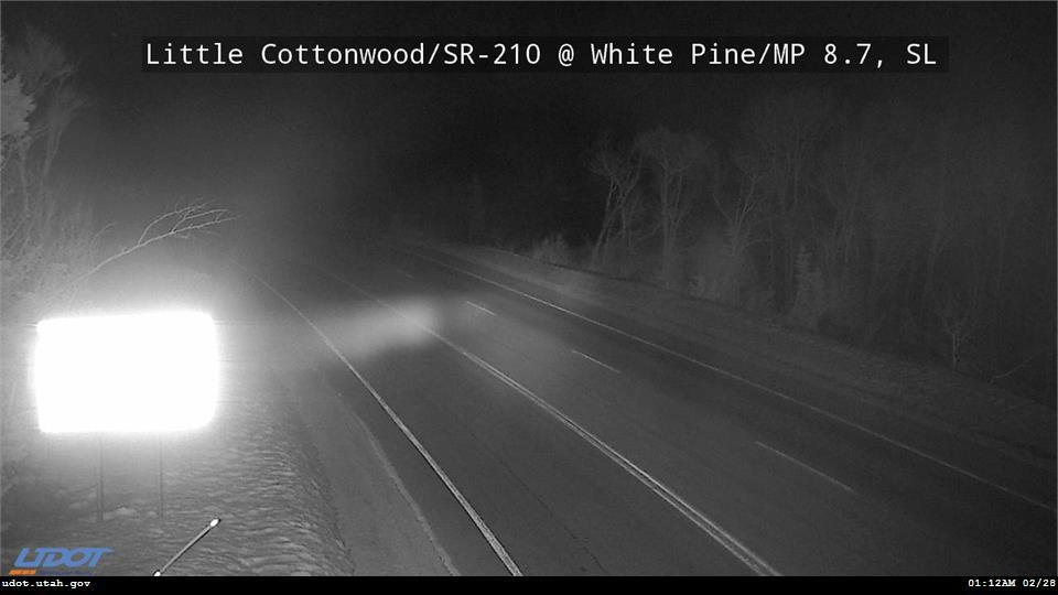 White Pine Traffic Camera