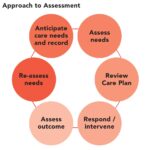 Diagram illustrating the cyclical process of assessment and reassessment in palliative care, highlighting its central role in patient care planning and outcomes, as recommended by palliative care assessment tools in Australia.